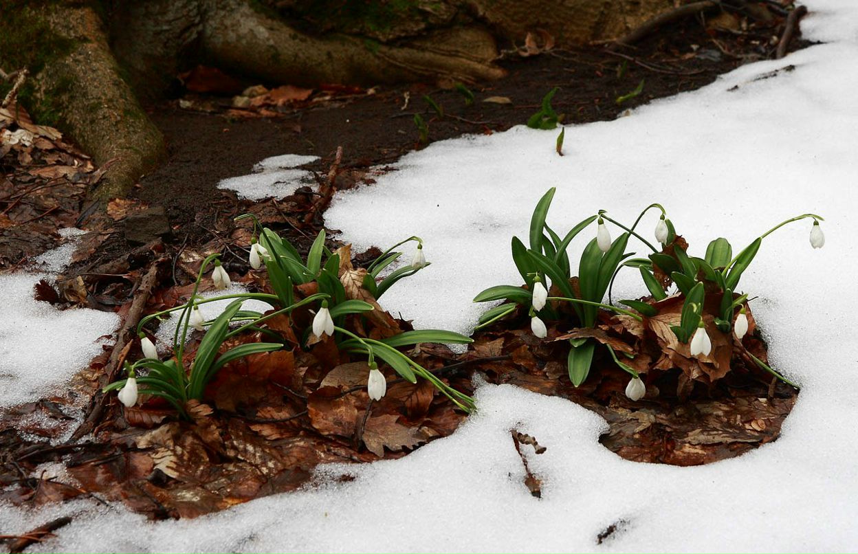 Юлиана Астахова | Москва