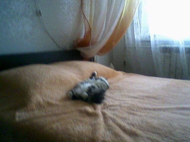 Екатерина Колеватова-Хайрутдинова | Новокузнецк