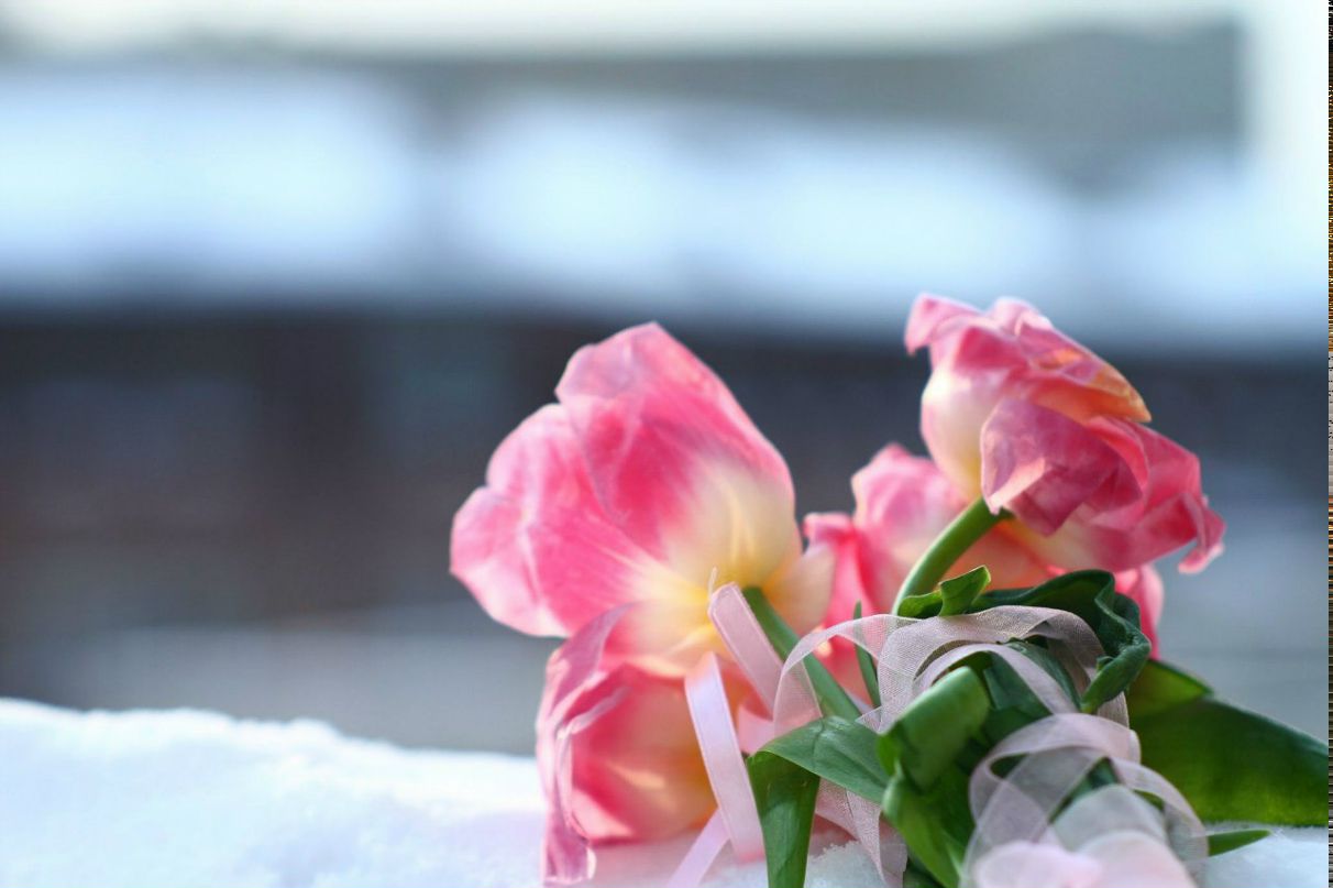 Jane Bagma Печенье | Berlin