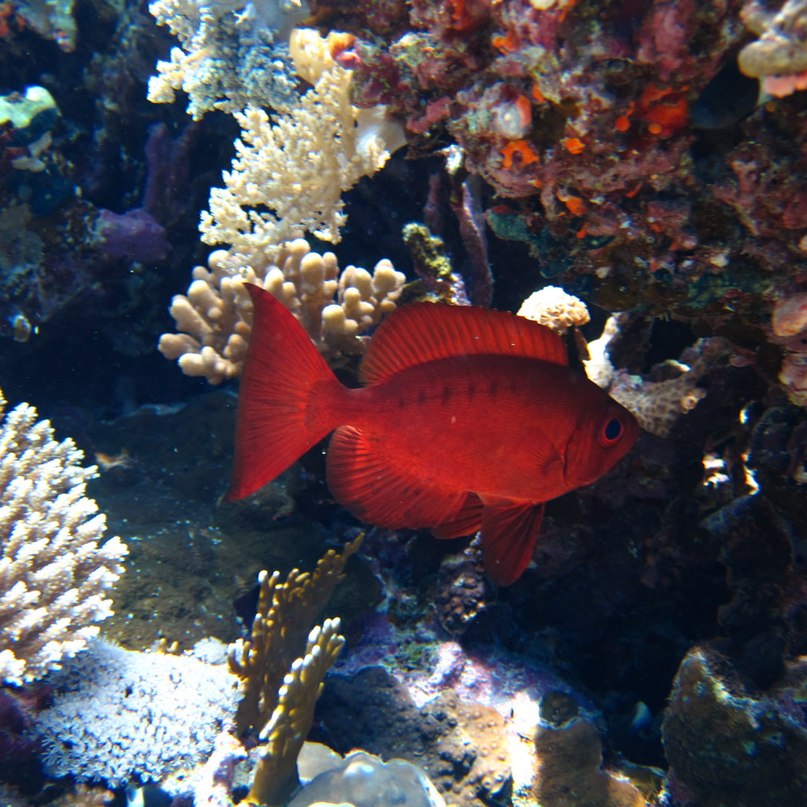 Николай Рябов | Дзержинск