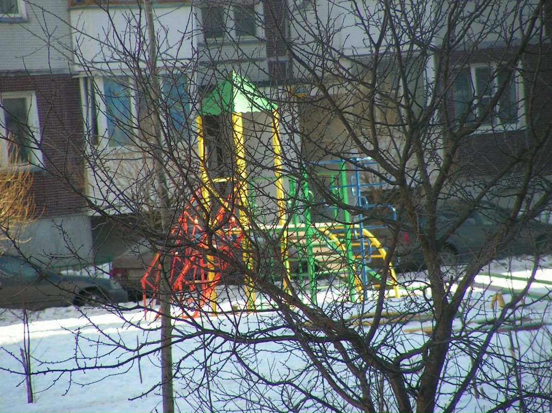 Даша Трошкова | Великий Новгород