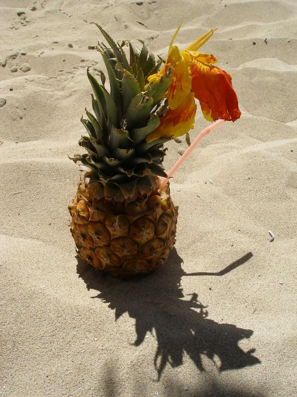 Екатерина Бирюкова | Москва