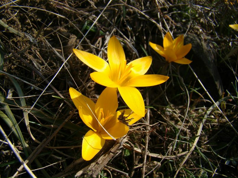 Юлія Буяновська | Жашков