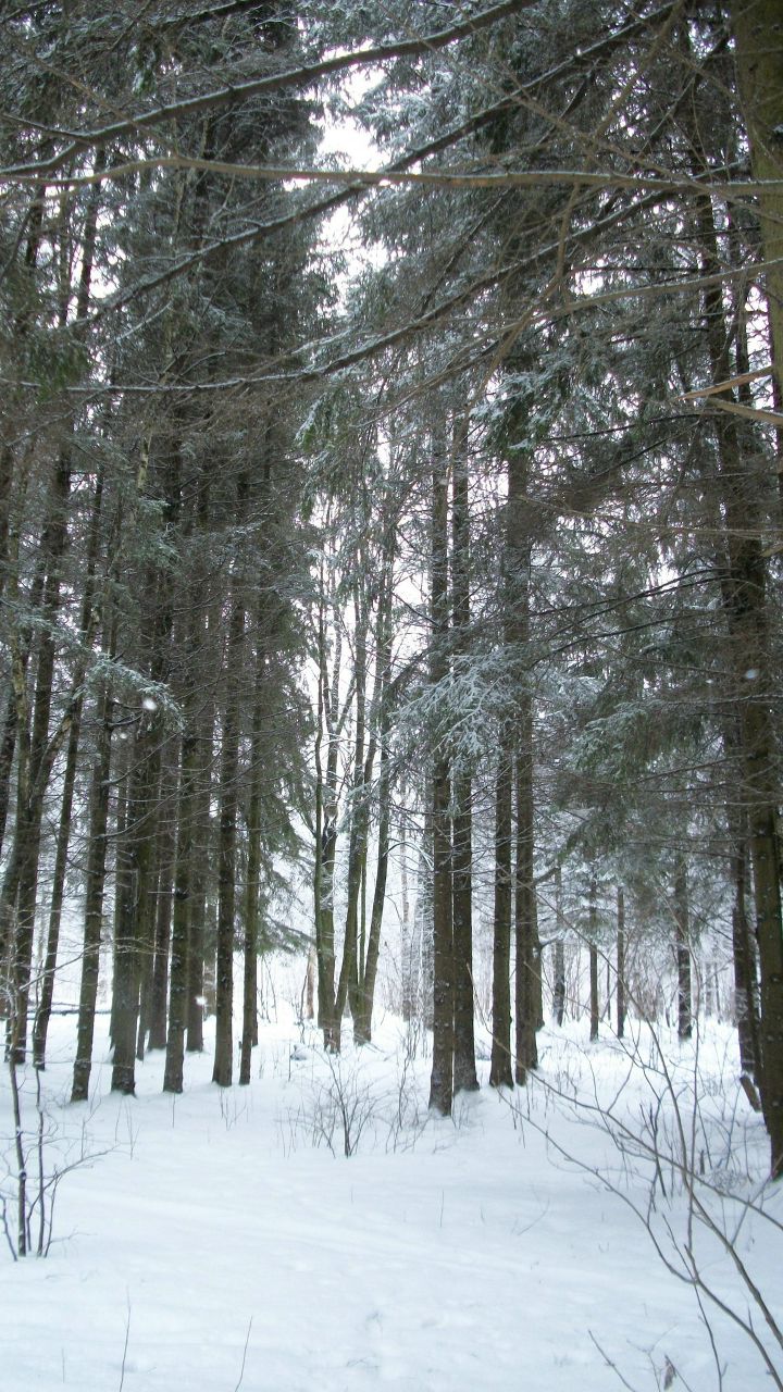 Рена Микаилова | Обнинск