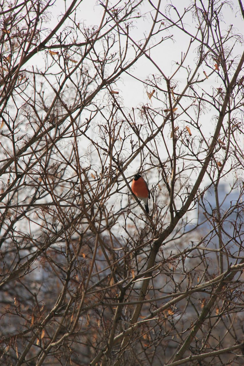 Мария Широкова | Москва
