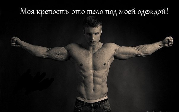 Коля Халус | Перегинское