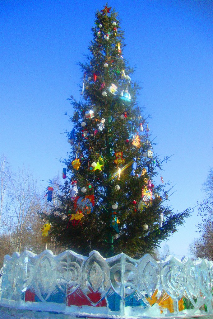 Даша Коротенко | Ростов-на-Дону