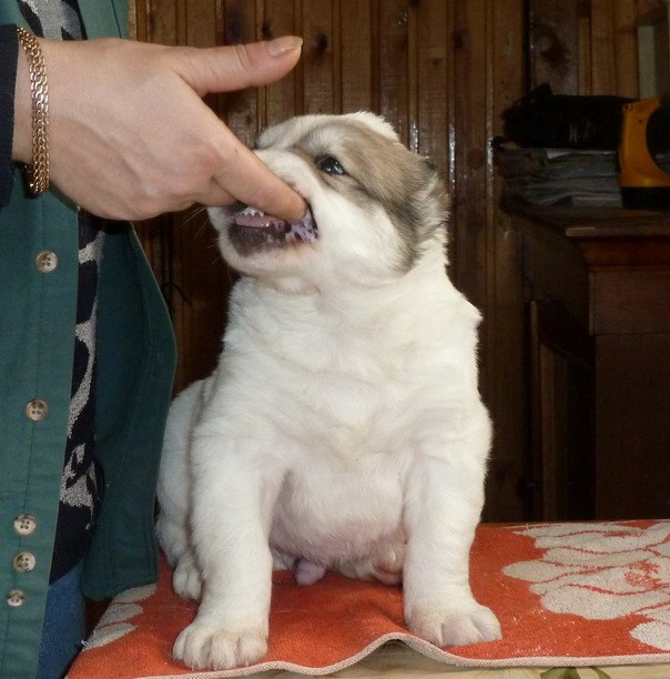 Оксана Кузьмина | Санкт-Петербург