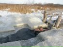 №36 Ирина  14.01.1970: профиль, фото, статус - ВКонтакте