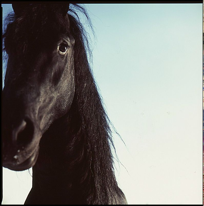 Инна Сидорук | Киев