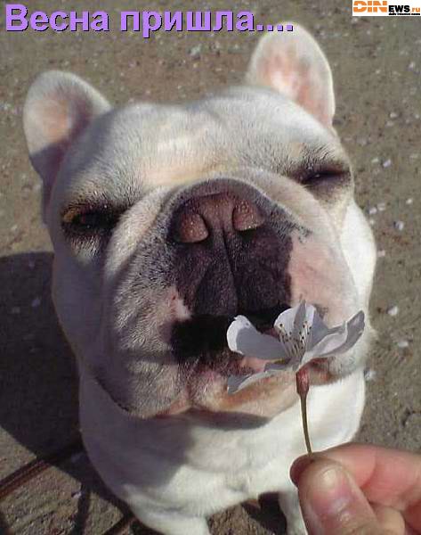 Александр Лобанов | Якутск