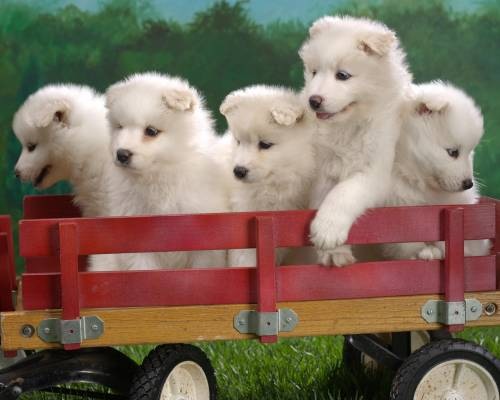 №25, Ilona Kuris, 26 лет, Киев №25, Ilona Kuris, 26 лет, Киев