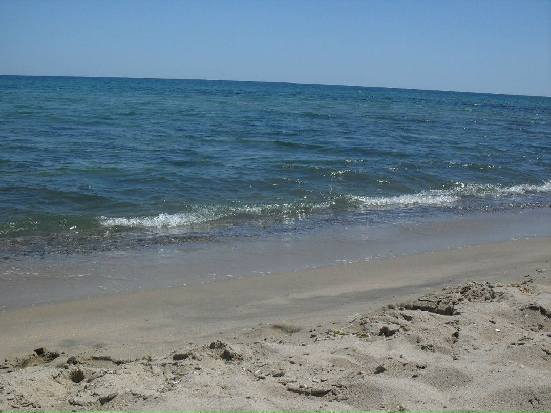 Алла Саббатовская ألاء | Ашхабад