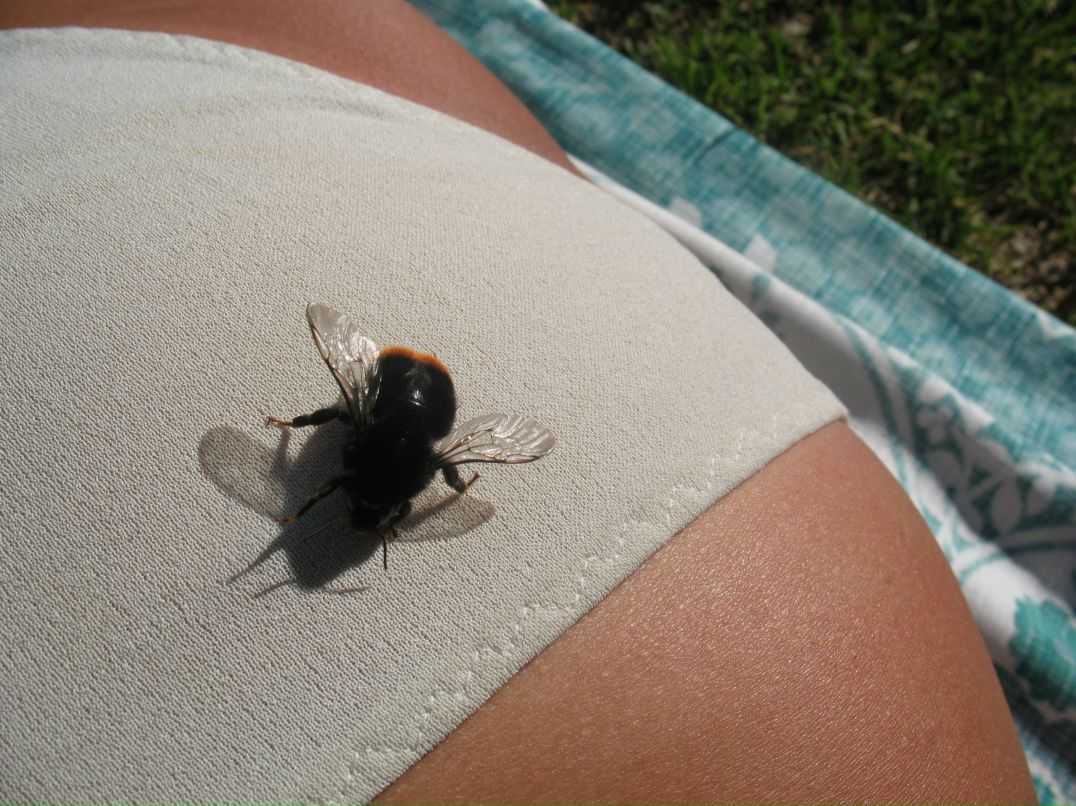 Тина Ерофеева | Санкт-Петербург