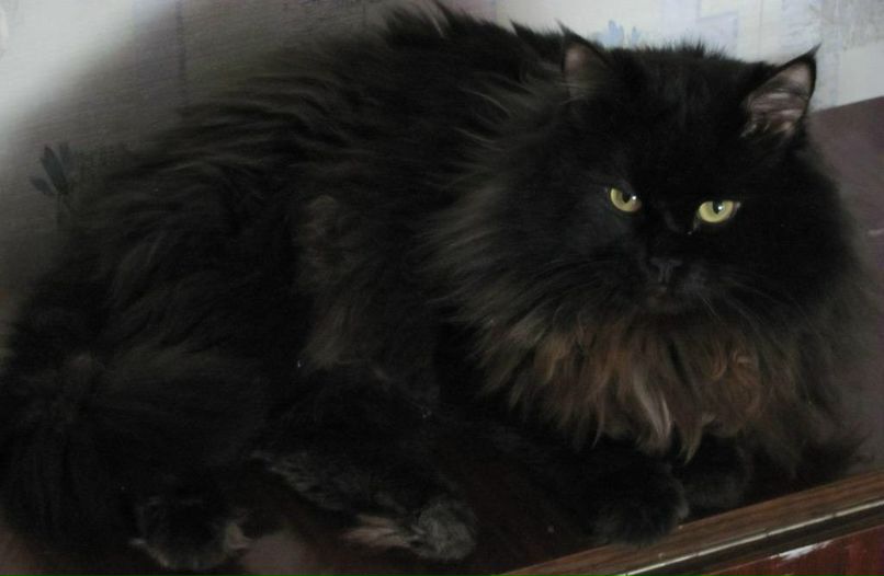 Валентина Севастьянова V | Самара