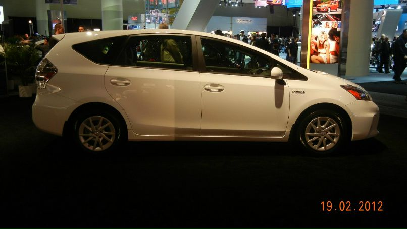 Эллина Керимова Yote | Toronto