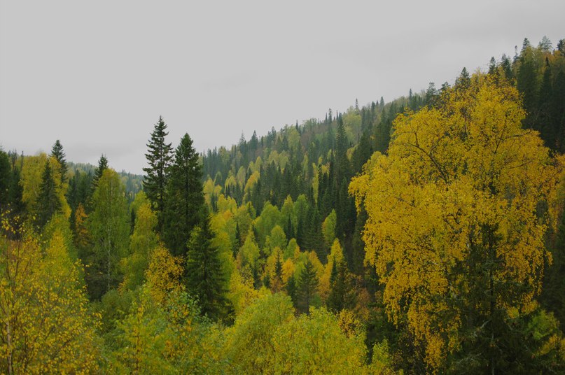 Ринат Валеев | Уфа