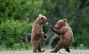 Александр Душа | Москва