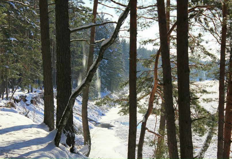 Владимир Брюнин | Seda