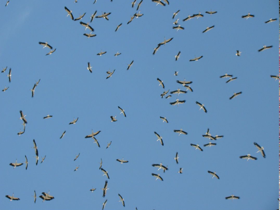 Юля Никулина | Санкт-Петербург