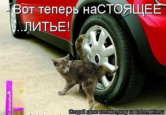 Денис Белозеров | Омск