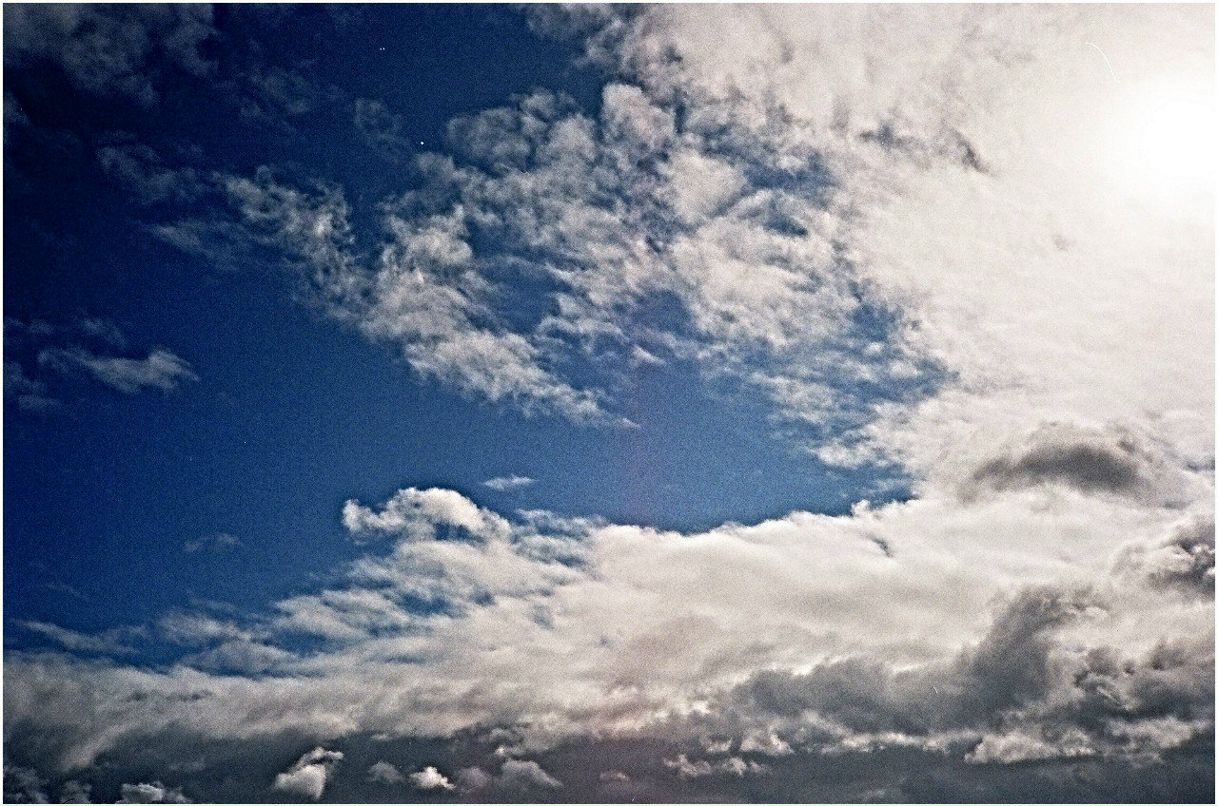 Фиса Евсеенкова | 