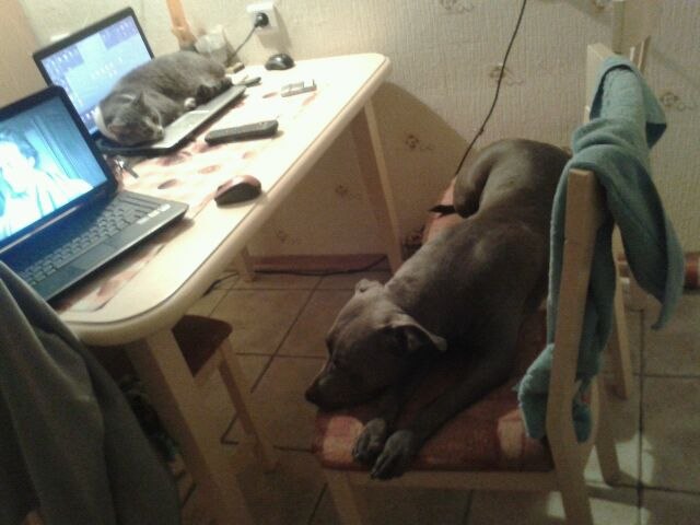 Анатолий Соколов | Санкт-Петербург