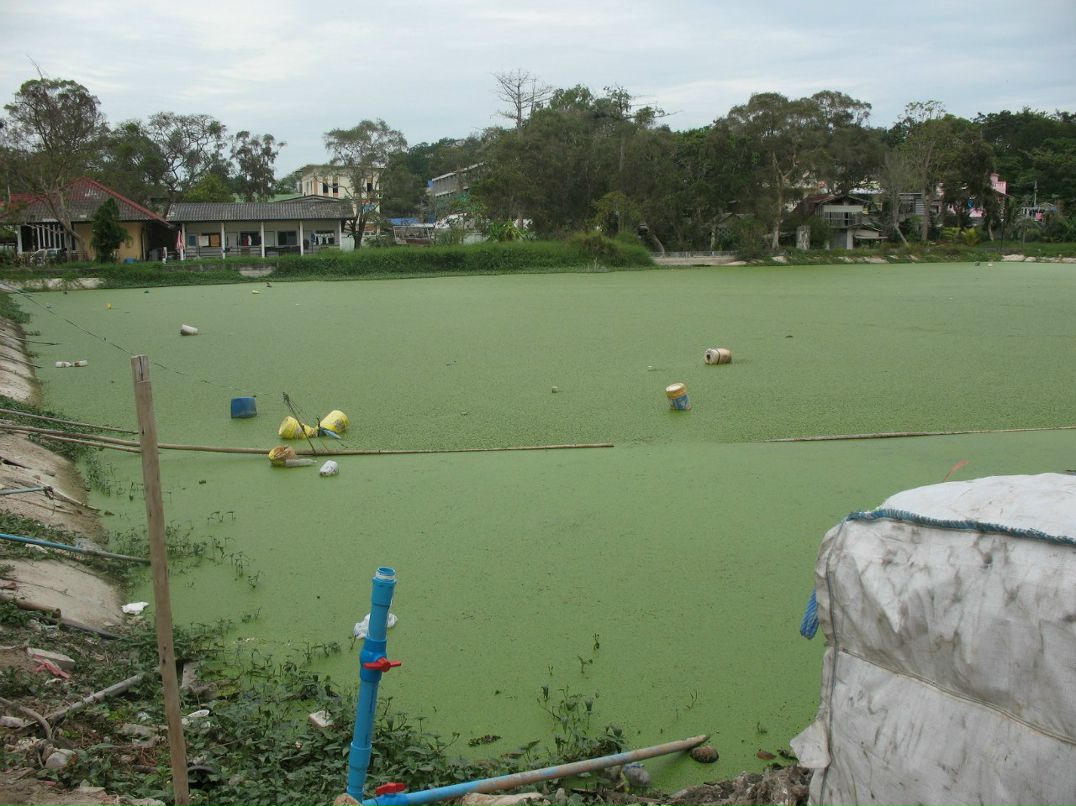 Роман Лойко | Чернигов