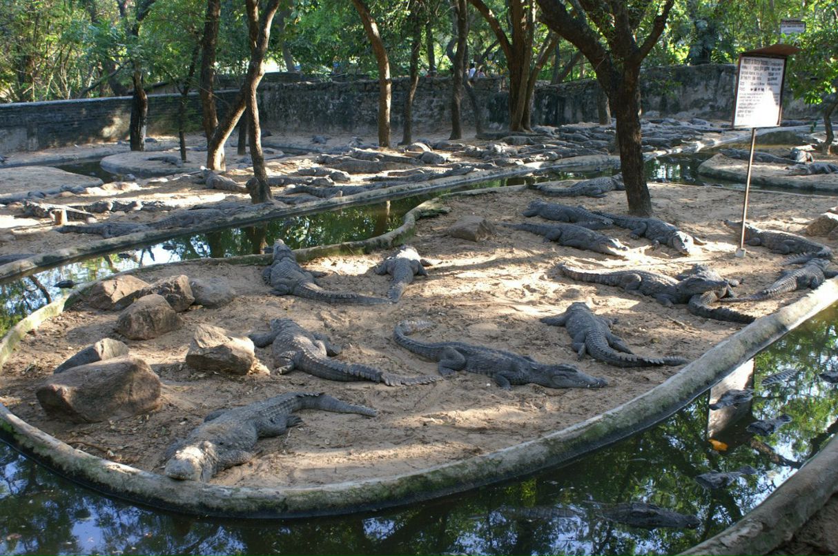 Ольга Кужель | Киев