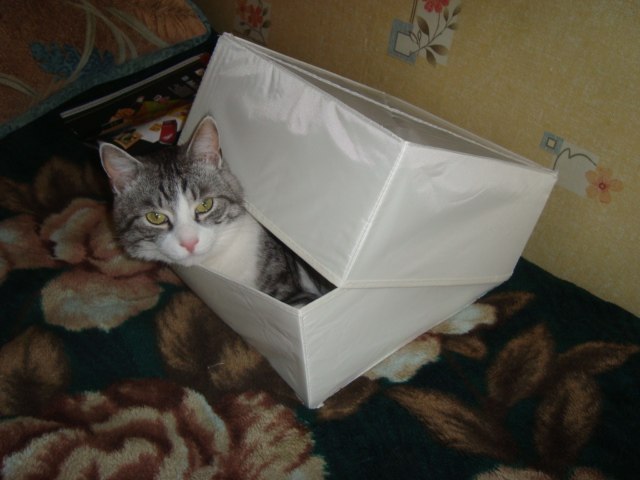 Алексей Куликов | Выборг