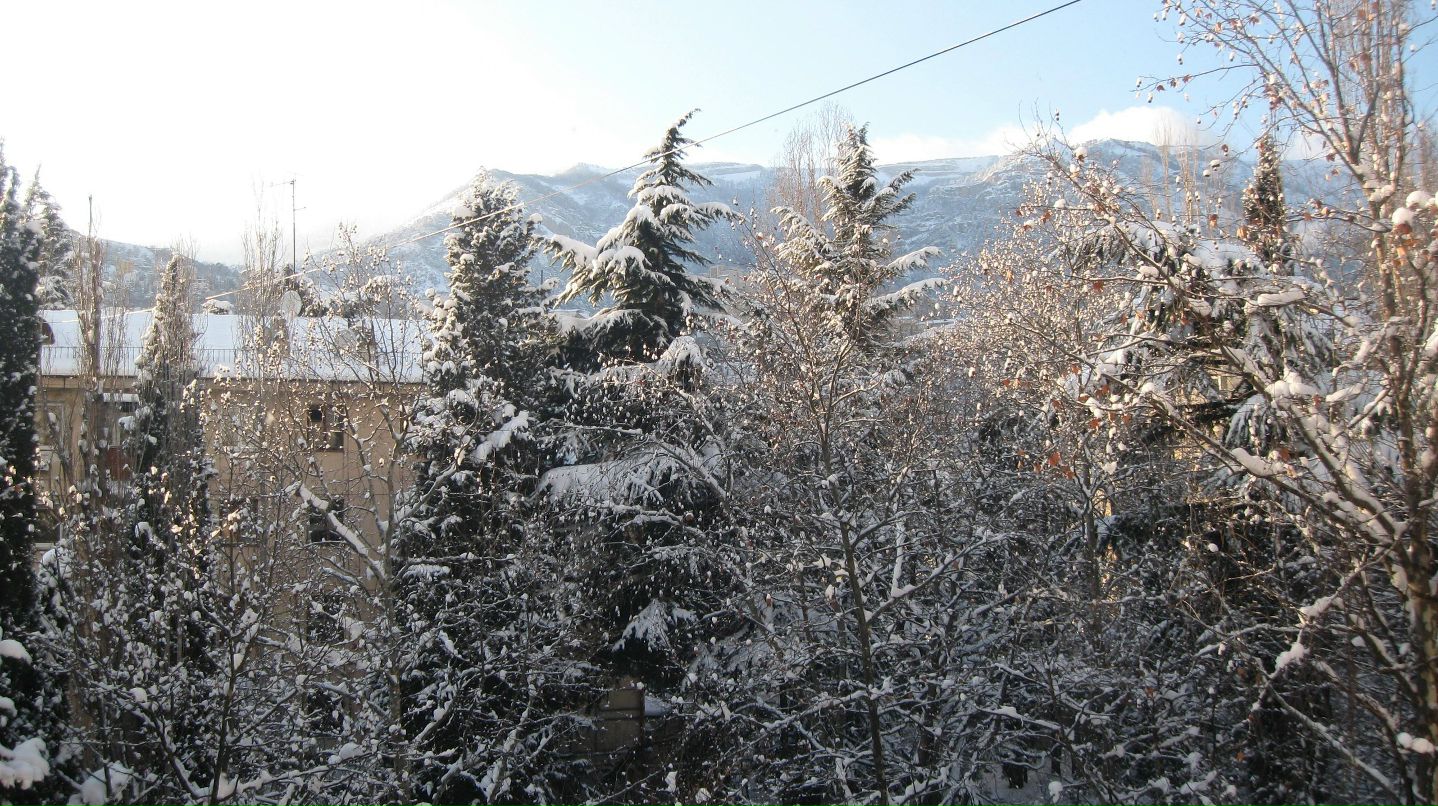 Елизавета Пичугина | Одесса