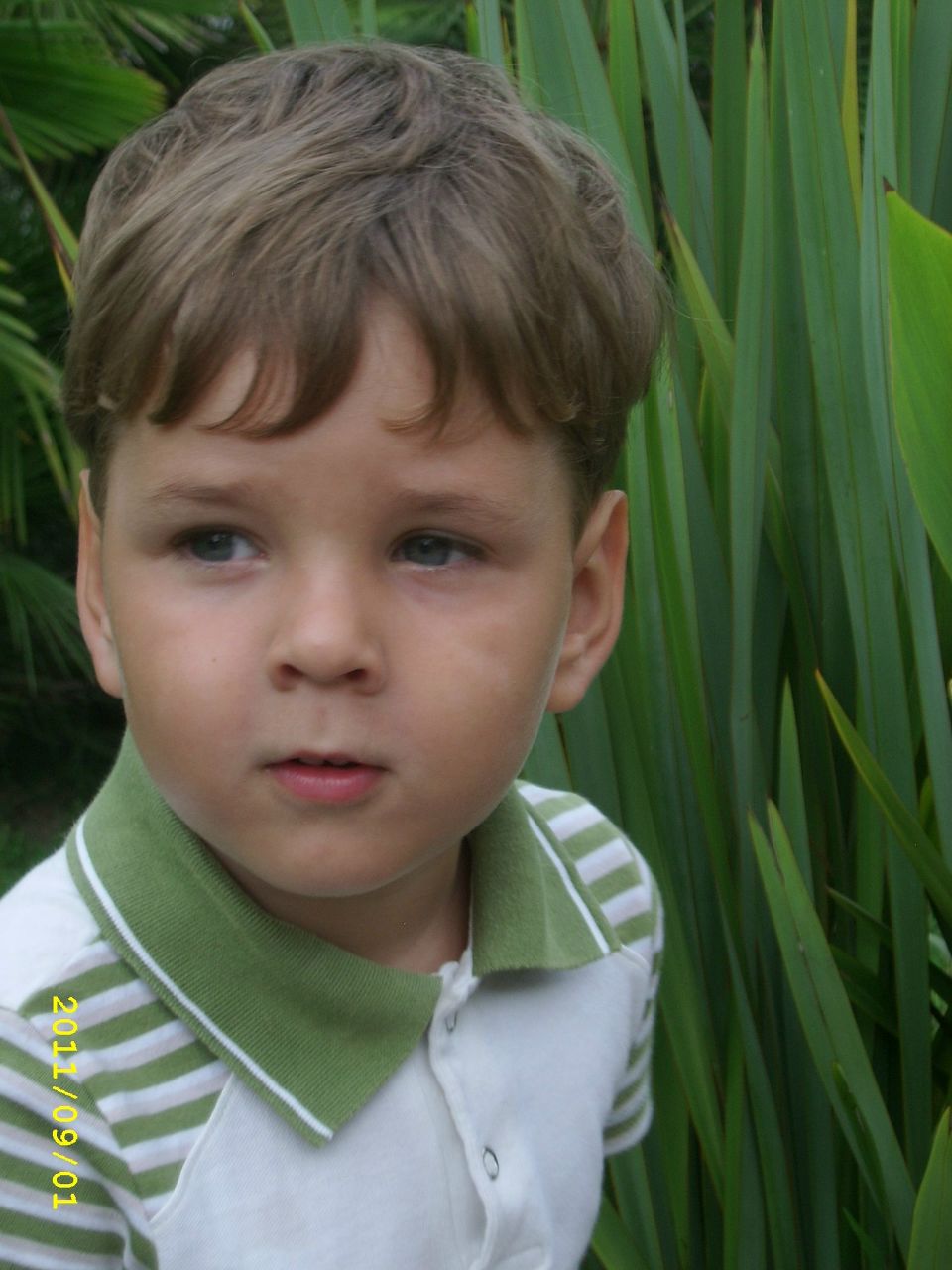 Анита Рыпневская | Власиха