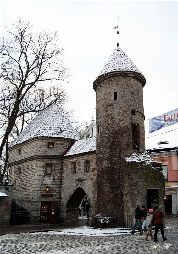 Константин Махов | Елабуга