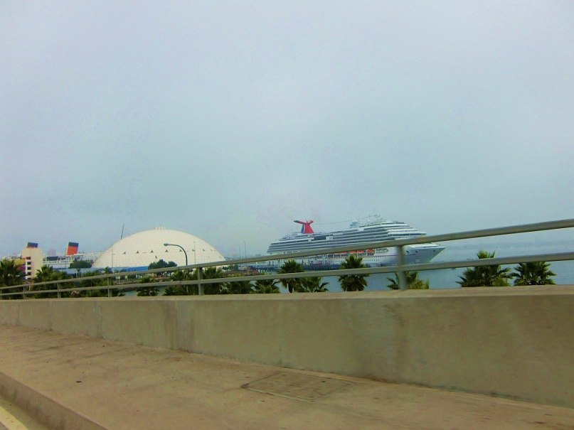 Alyona Borchaninova Aly | Capitola