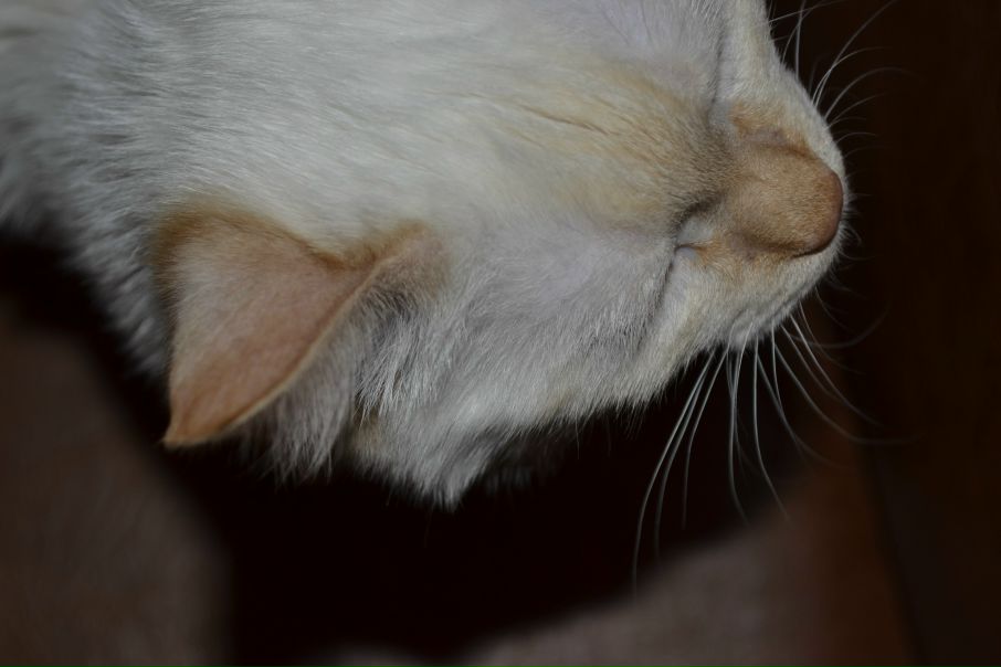 №6, Кристина Бакунова-Мустафина, Екатеринбург №6, Кристина Бакунова-Мустафина, Екатеринбург