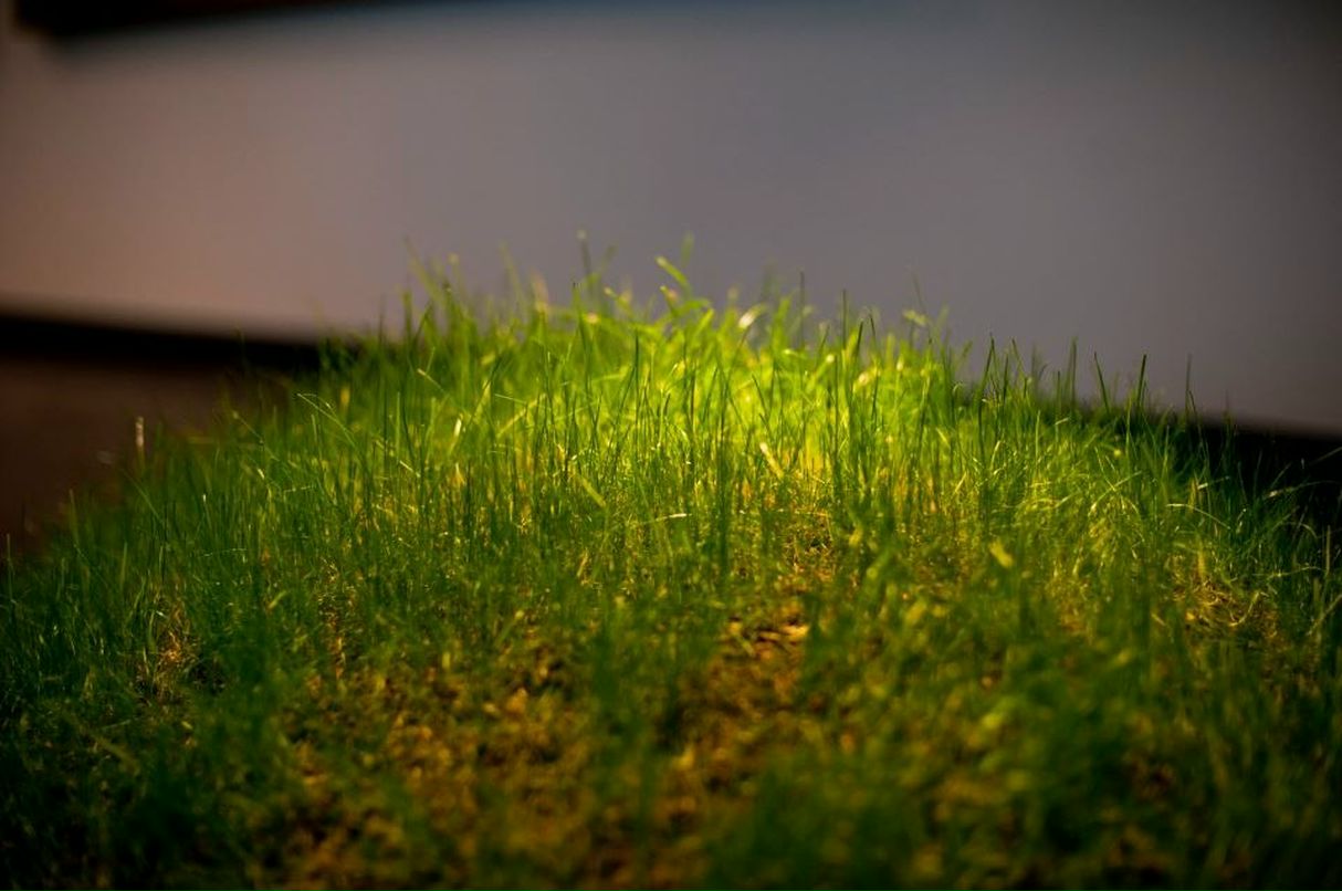 Антонина Капля | Киев