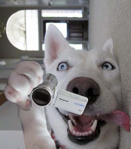 №116, Иван Печенкин, Курган №116, Иван Печенкин, Курган