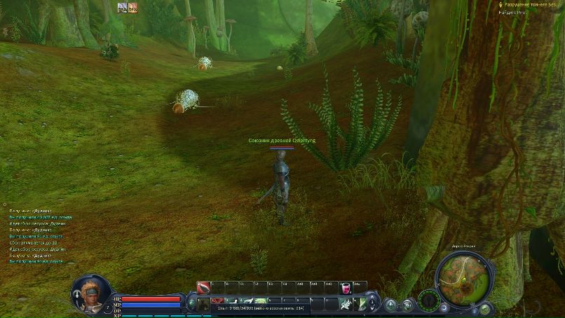 Тимур Каримов | Альметьевск