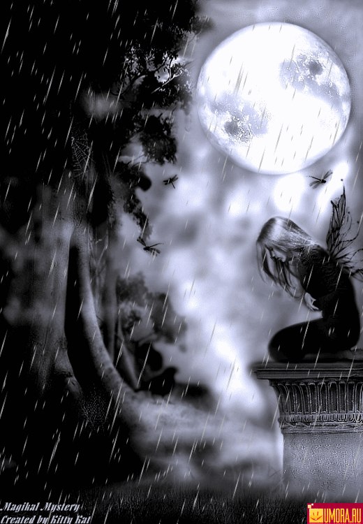 Ольга Приходько | Красноярск