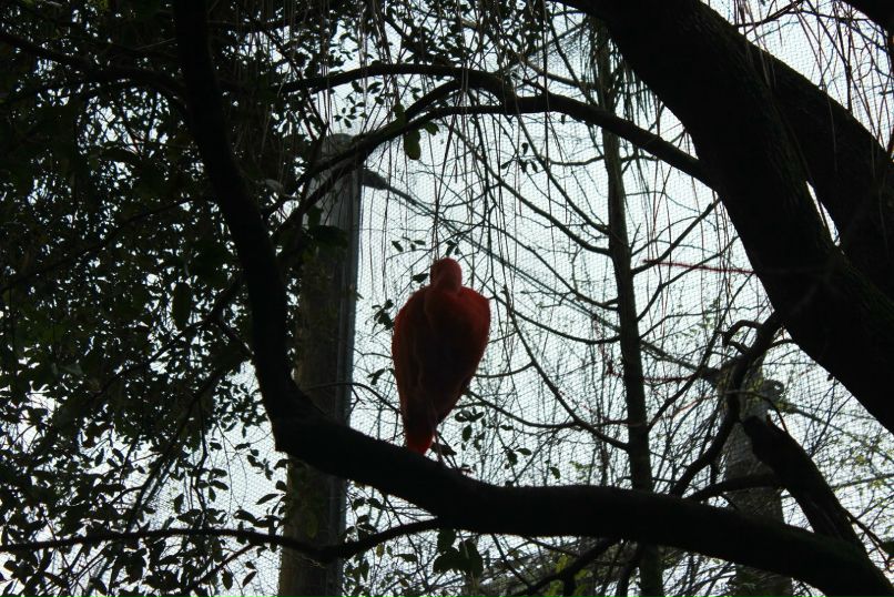 Анна Николаева | Одесса