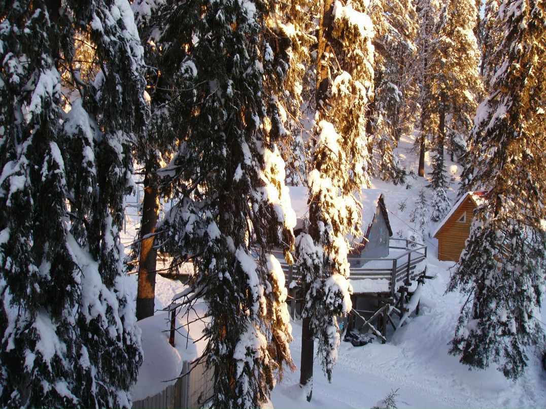 Людмила Щасная | Севастополь