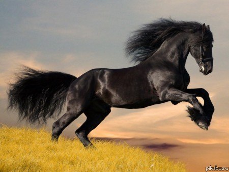 Татьяна Мухсинова | Челябинск