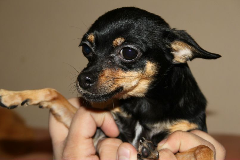 Наталья Демидова | Тюмень