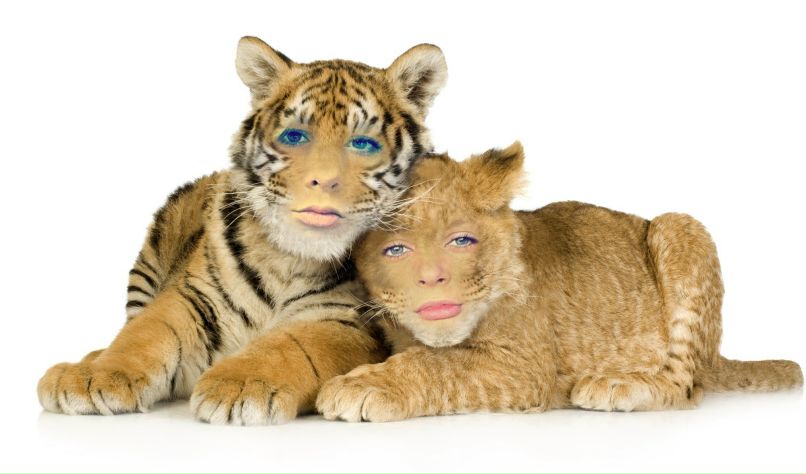 Евгения Кудесникова | 