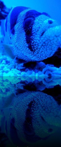 Дарья Шнебель •★Счастье_снова_в_модЕ★• | Сургут