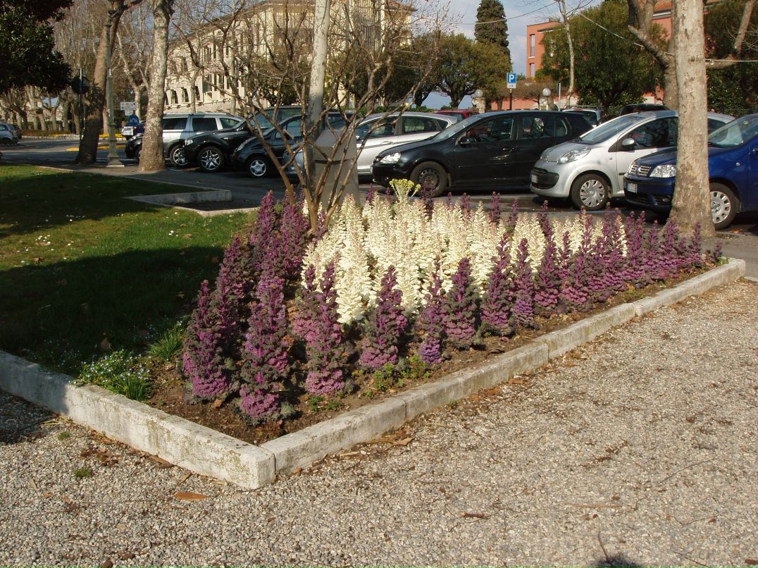 Лидия Кадацкая | Санкт-Петербург