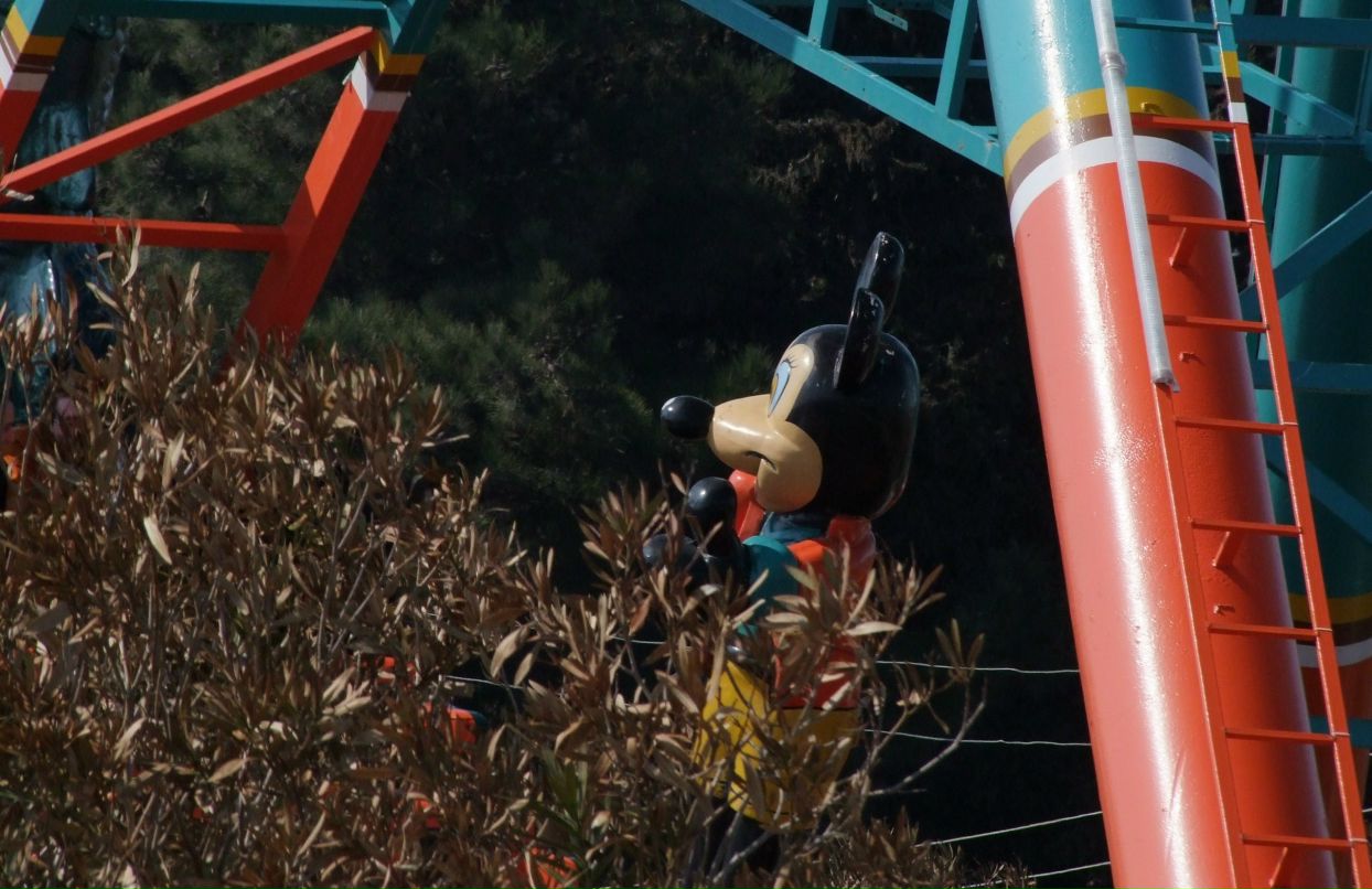 Анна Камаева Варавва | 