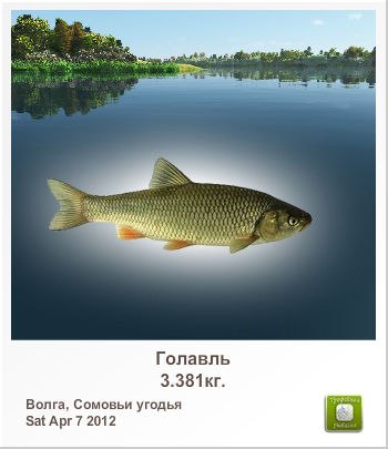 Ольга Серватинская | Саратов