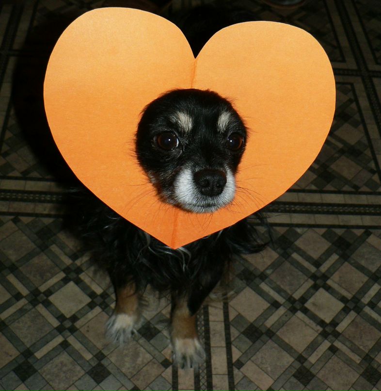 Александра Волкова | Санкт-Петербург