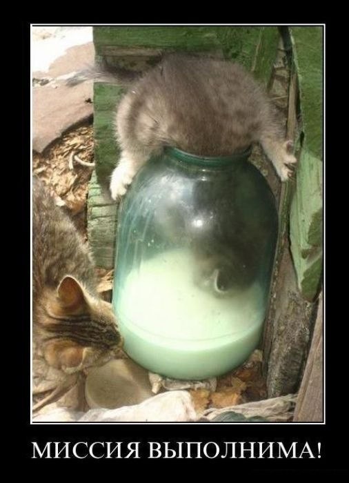 Евгений Бацман ELE©TRO-NI© | Springfield